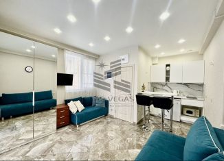 Сдается в аренду 1-ком. квартира, 25 м2, Сочи, Клубничная улица, 6Б, микрорайон Новый Сочи