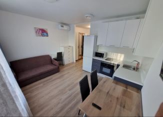 Сдам в аренду квартиру студию, 25 м2, Мытищи, улица Стрельбище Динамо, 10