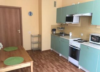 Сдаю 1-ком. квартиру, 39 м2, посёлок Парголово, улица Михаила Дудина, 25к1