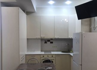 Сдача в аренду квартиры студии, 26 м2, Сочи, улица Гастелло, 28к2, микрорайон Голубые Дали