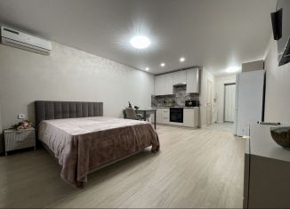 Сдается квартира студия, 30 м2, Республика Башкортостан, улица Софьи Перовской, 22