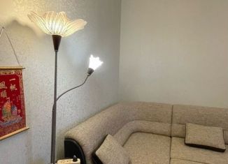 Сдаю 1-ком. квартиру, 42 м2, Санкт-Петербург, Новоколомяжский проспект, 11