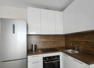 Аренда квартиры студии, 25 м2, Санкт-Петербург, Гудиловская улица, 5к1, Невский район
