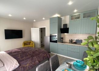 Сдам квартиру студию, 32 м2, Сочи, улица Искры, микрорайон Кудепста