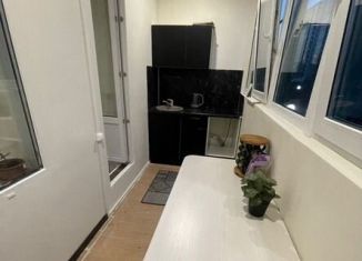 Сдам квартиру студию, 27 м2, Мурино, Воронцовский бульвар, 20к1, ЖК Гринландия-2