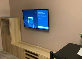 Сдам в аренду 1-ком. квартиру, 38 м2, Санкт-Петербург, улица Оптиков, 37, муниципальный округ № 65