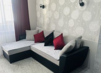 Сдача в аренду квартиры студии, 25 м2, Сочи, Донской переулок, 11/1