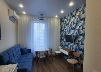 Однокомнатная квартира в аренду, 35 м2, Краснодар, микрорайон Черемушки, Воронежская улица, 47/10