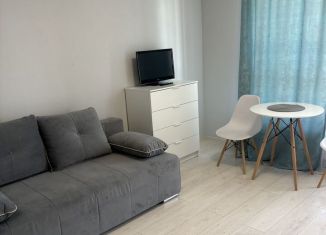 Сдаю в аренду квартиру студию, 25 м2, посёлок Шушары, Старорусский проспект, 9