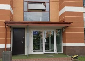 Аренда 1-комнатной квартиры, 40 м2, посёлок Шушары, Образцовая улица, 9Б