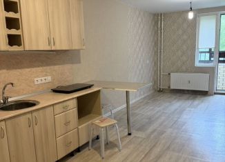 Квартира в аренду студия, 23.1 м2, Ломоносов, Михайловская улица, 51