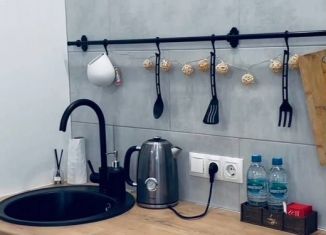 Аренда 1-ком. квартиры, 37 м2, Сочи, улица Голубые Дали, 20/1, микрорайон Голубые Дали