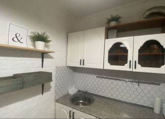 2-комнатная квартира в аренду, 40 м2, Сочи, улица Возрождения, 10, микрорайон Бытха