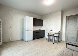 Сдача в аренду квартиры студии, 24 м2, Челябинская область, Турбинная улица, 64
