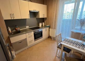 Сдается 1-ком. квартира, 35 м2, Санкт-Петербург, Туристская улица, 30к1, муниципальный округ № 65