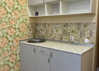 Аренда квартиры студии, 19 м2, деревня Афонино, улица Красная Поляна, 2