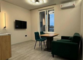 Аренда однокомнатной квартиры, 48 м2, Татарстан, улица Мансура Хасанова, 13