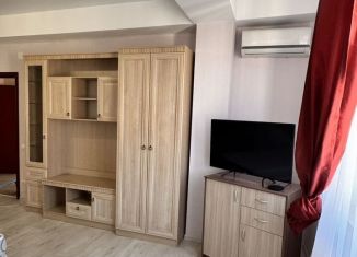 Сдам в аренду 1-комнатную квартиру, 47.8 м2, Сочи, Клубничная улица, 6Б, микрорайон Новый Сочи