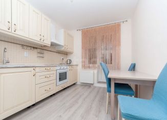 Сдается в аренду 1-ком. квартира, 31 м2, Санкт-Петербург, Русановская улица, 18к6, Невский район