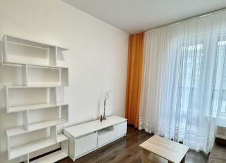 Сдаю квартиру студию, 24 м2, Санкт-Петербург, Торфяная дорога, 17к4, Приморский район