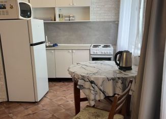 Сдача в аренду 1-комнатной квартиры, 29.8 м2, Искитим, микрорайон Южный, 43