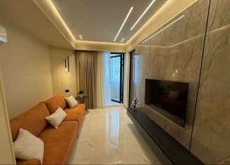 Аренда 1-ком. квартиры, 65 м2, Сочи, Первомайская улица, 11, микрорайон Центральный