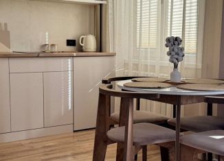 Однокомнатная квартира в аренду, 46.8 м2, Краснодар, улица Димитрова, 3/1, ЖК Димитрова