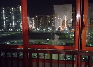 Сдаю квартиру студию, 23.6 м2, Челябинская область, улица Братьев Кашириных, 131Б