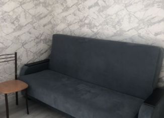 Сдам квартиру студию, 25 м2, Томская область, Шегарский переулок, 53