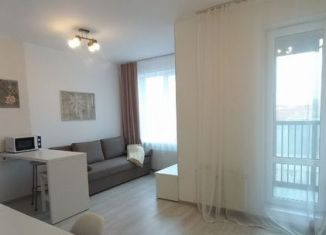 Сдаю в аренду квартиру студию, 25 м2, Санкт-Петербург, Торфяная дорога, 17к6, Приморский район