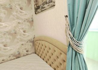 1-ком. квартира в аренду, 25 м2, Мурино, Петровский бульвар, 12к2, ЖК Краски Лета