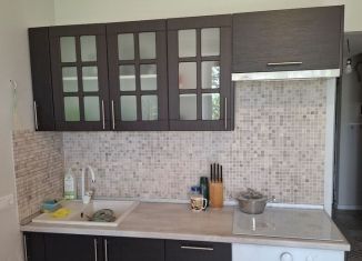 Сдаю в аренду квартиру студию, 30 м2, деревня Крёкшино, улица Медовая Долина, 7к2