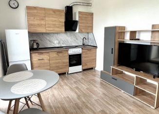 Сдается квартира студия, 23 м2, Санкт-Петербург, Чарушинская улица, 24к1, метро Академическая