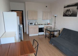 Сдача в аренду квартиры студии, 25.5 м2, Мурино, улица Шувалова, 5, ЖК Гринландия