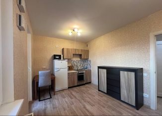 Сдается в аренду квартира студия, 22 м2, Санкт-Петербург, Чарушинская улица, 22к1, метро Академическая