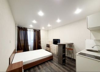 Аренда квартиры студии, 23 м2, посёлок Парголово, улица Шишкина, 303к1