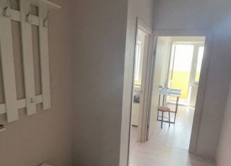 Сдача в аренду однокомнатной квартиры, 35.9 м2, Краснодар, улица Героя Владислава Посадского, 42, микрорайон Восточно-Кругликовский