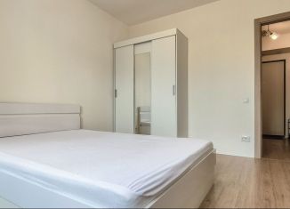 Сдается 1-ком. квартира, 38 м2, Санкт-Петербург, улица Дыбенко, 7к3, Невский район