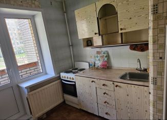 Сдается 1-ком. квартира, 30.9 м2, Колпино, улица Металлургов, 13