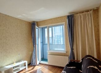 Сдам в аренду однокомнатную квартиру, 34 м2, Санкт-Петербург, улица Коллонтай, 5/1, Невский район