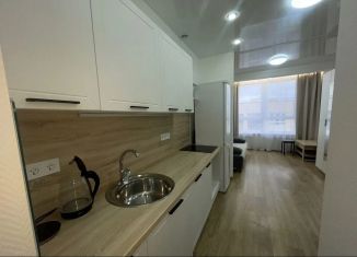 Сдача в аренду квартиры студии, 26 м2, Анапа, улица Ленина, 173Ак4, ЖК Горизонт