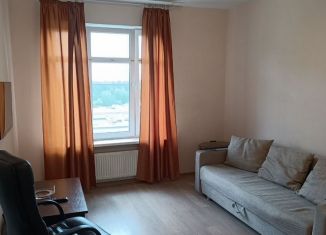 Сдача в аренду 1-ком. квартиры, 34 м2, Санкт-Петербург, Союзный проспект, 4, Невский район