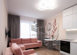 Сдаю в аренду 1-комнатную квартиру, 45 м2, Сочи, Курортный проспект, 96/5Б, микрорайон Приморье