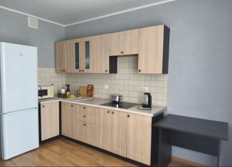 Аренда 1-ком. квартиры, 42 м2, Тюмень, улица Николая Зелинского, 24, ЖК Домостроитель