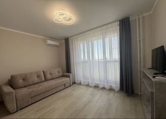 Квартира в аренду студия, 30 м2, Ростов-на-Дону, улица Ткачёва, 23, ЖК Левенцовка Парк