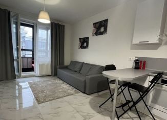 Сдаю в аренду квартиру студию, 32 м2, Санкт-Петербург, Приморский проспект, 52к1, муниципальный округ № 65