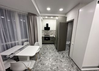 Сдается в аренду квартира студия, 24 м2, Сочи, Каспийская улица, 46/8Г, микрорайон Верхнеимеретинская Бухта