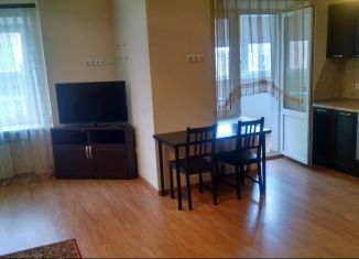 Сдам квартиру студию, 50 м2, Ростов-на-Дону, улица Нансена, 437/1, ЖК Ленинские Горки