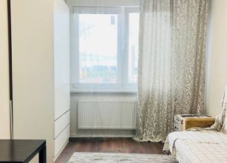 Сдам квартиру студию, 19 м2, Санкт-Петербург, Муринская дорога, 31к3, метро Академическая