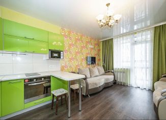 Квартира в аренду студия, 26 м2, Новосибирск, Танковая улица, 32, ЖК Астра